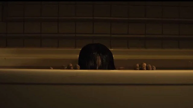 The Grudge