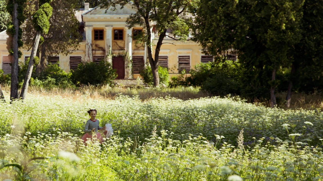 Trái Tim Bươm Bướm